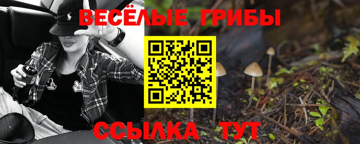 Галлюциногенные грибы Psilocybine cubensis  хочу наркоту  Галлюциногенные грибы ЛСД  Луга  Вход с VPN 